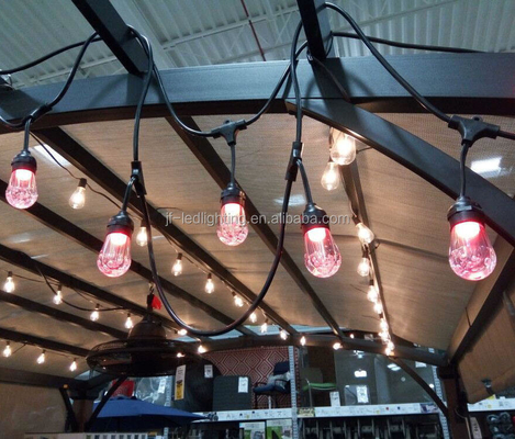 Decorazione Rgb S14 Led Holiday String Light Per LED multicolori Frequenza 50Hz/60Hz