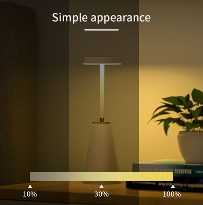 Interruttore Touch Metal Nightlight Atmosfera Lampada da tavolo per decorazione luminosa LED intelligente