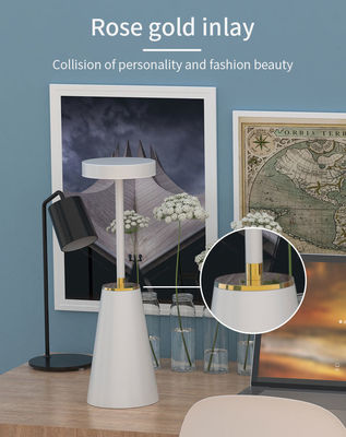 Lampada da tavolo intelligente a sfumatura ABS a sfumatura a tocco con accensione e illuminazione dell'atmosfera