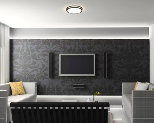 Moderno design 14 pollici 21W 5CCT LED Double Ring Ceiling Light CL-B1425 con funzione fai da te