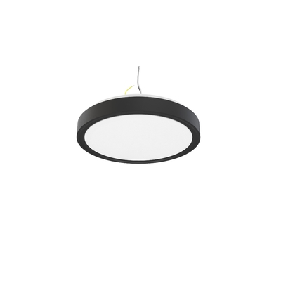 IP44 10inch 15W C1015 LED Single Ring Integrated Ceiling Light per e personalizzazione