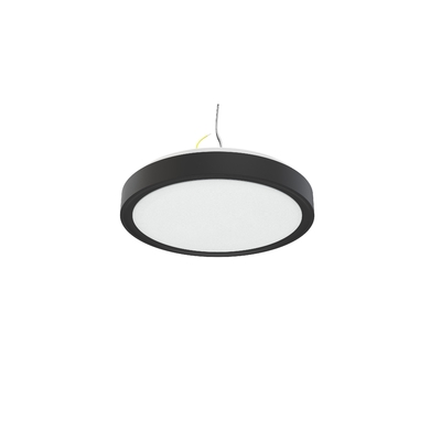 IP44 10inch 15W C1015 LED Single Ring Integrated Ceiling Light per e personalizzazione