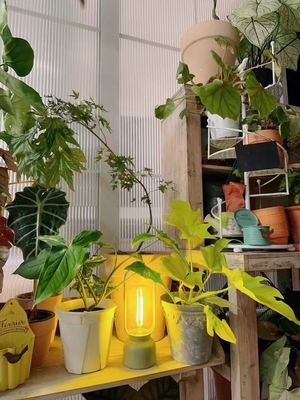 Crea un'atmosfera artistica con questa lampada da tavolo per il Night Light Festival