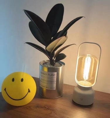 2700K Temperatura del colore Atmosfera Luce notturna per lampadina a mano e repellente per zanzare