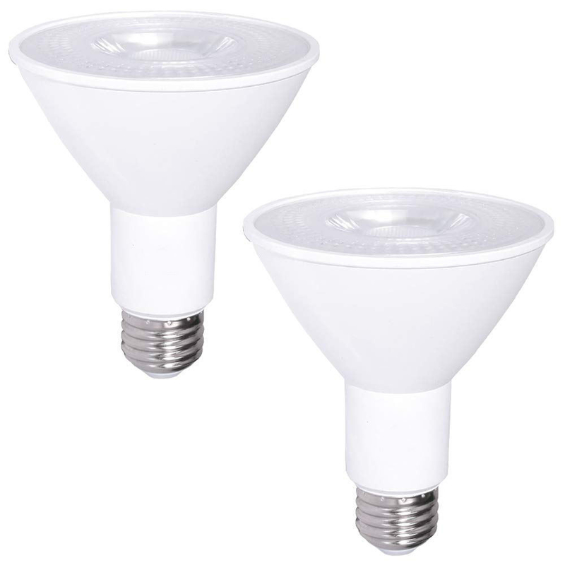 12W 100W Dimmable impermeabile E26 3000K Caldo Bianco LED Lampada PAR30 Controller bottone