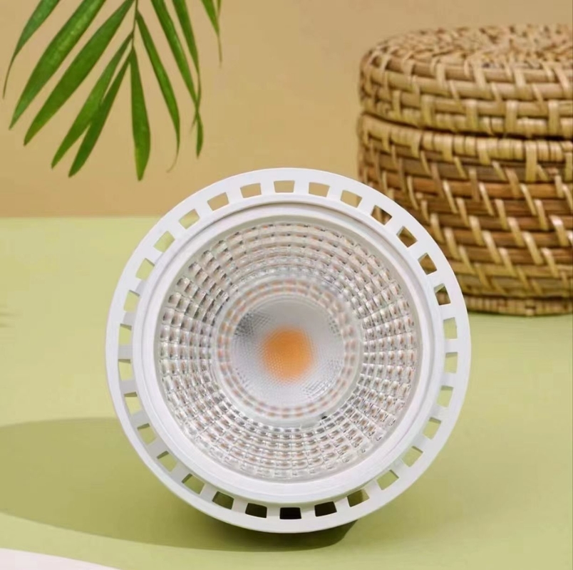 Illuminazione per la crescita delle piante a LED 20W LEDPAR30 con tensione di ingresso 85V-265V e altro tipo di base