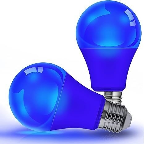 Lampada a LED blu A19 9W E26 Non-Dim per l'illuminazione e la progettazione dei circuiti natalizi all'aperto